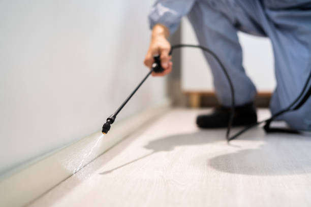 Licensed Cockroach Control service in Wayne County County, MI - Nex Pest Control