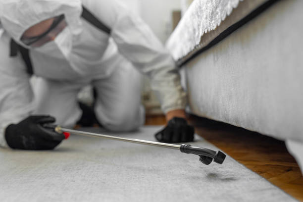 Professional Cockroach Control technician working in Wayne County County, MI